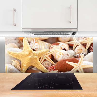 Panel Szklany Kompozycja Muszli na Brzegu