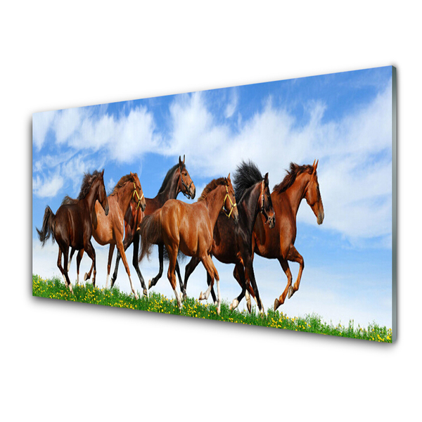 Panel Szklany Konie w Galopie na Pastwisku