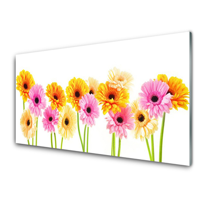 Panel Szklany Kwiaty Kolorowe Gerbery