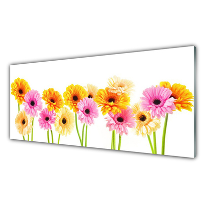 Panel Szklany Kwiaty Kolorowe Gerbery