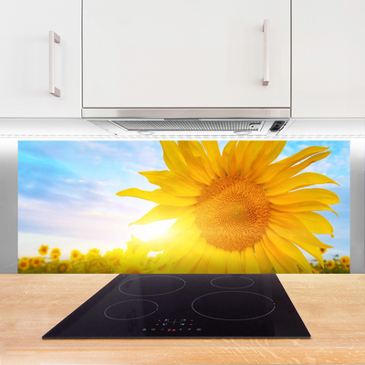 Panel Szklany Słonecznik w Pełnym Rozkwicie