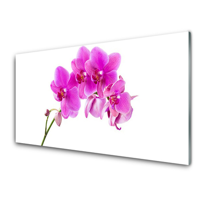 Panel Szklany Storczyk Kwiat Orchidea