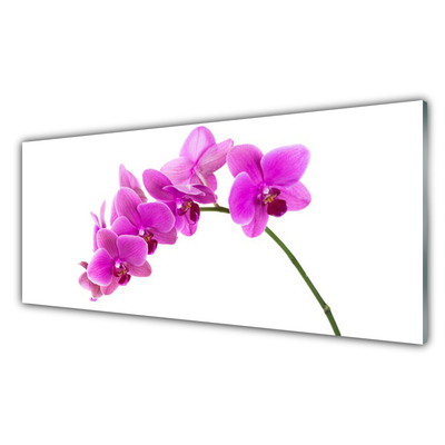 Panel Szklany Storczyk Kwiat Orchidea