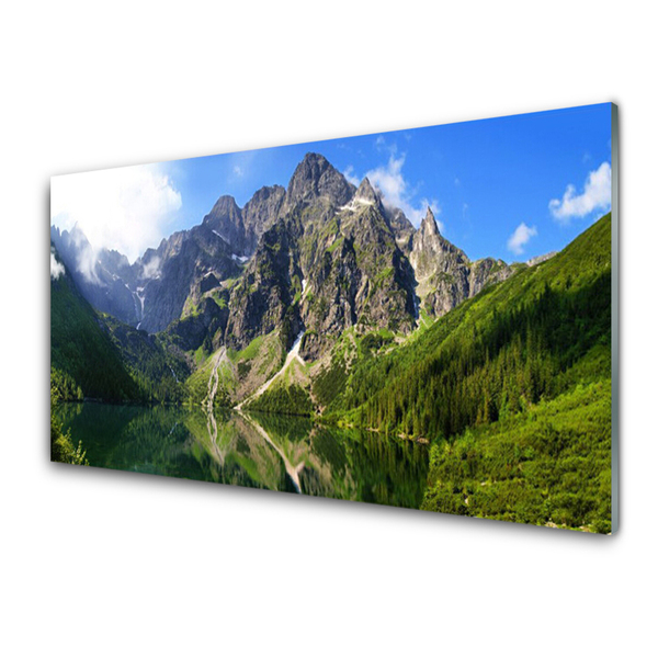 Panel Szklany Tatry Góry Morskie Oko Las