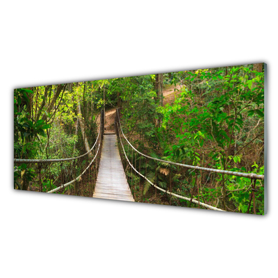 Panel Szklany Most Dżungla Las Tropikalny