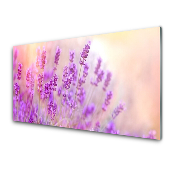Panel Szklany Lawendowe Pole Słońce Kwiaty