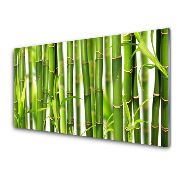 Panel Szklany Bambusowe Pędy Liście Bambus