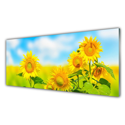 Panel Szklany Słonecznik Kwiaty Natura