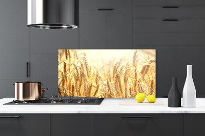 Panel Szklany Dojrzałe Kłosy Zboża