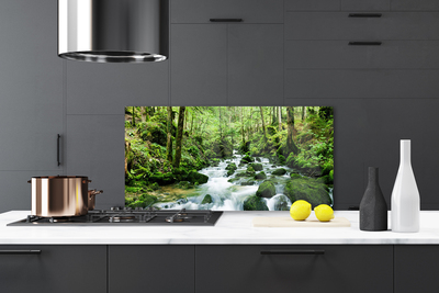 Panel Szklany Szumiący Potok w Gęstwinie Lasu