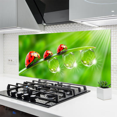 Panel Szklany Biedronki w Porannej Rosie