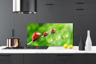 Panel Szklany Biedronki w Porannej Rosie