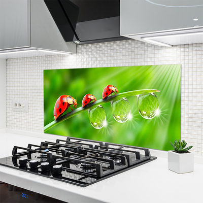 Panel Szklany Biedronki w Porannej Rosie