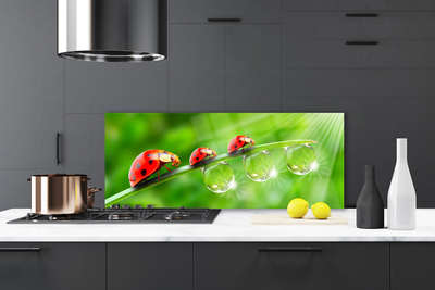 Panel Szklany Biedronki w Porannej Rosie