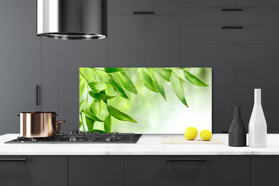 Panel Szklany do Kuchni Botaniczna Świeżość Liści