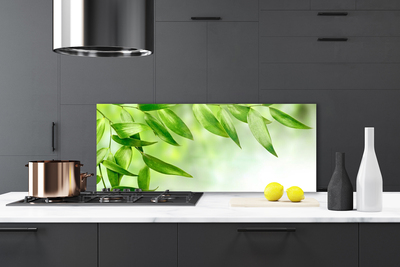 Panel Szklany do Kuchni Botaniczna Świeżość Liści