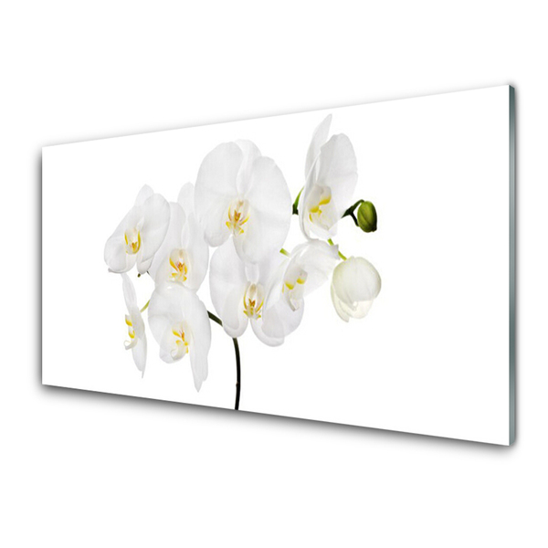 Panel Szklany Storczyk Biały Kwiaty