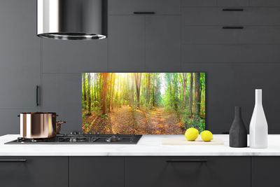 Panel Szklany Słoneczny Prześwit w Lesie