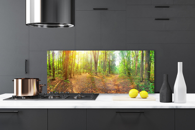 Panel Szklany Słoneczny Prześwit w Lesie