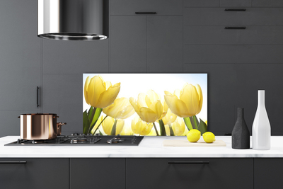Panel Szklany Tulipany Kwiaty Promienie