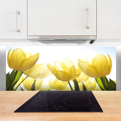 Panel Szklany Tulipany Kwiaty Promienie