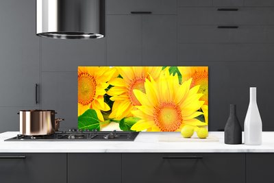 Panel Szklany Słonecznik Kwiat Natura