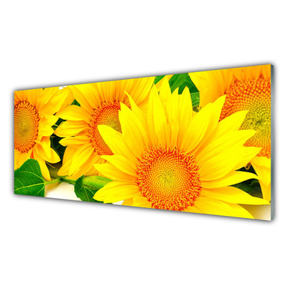 Panel Szklany Słonecznik Kwiat Natura