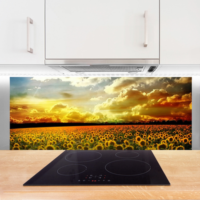 Panel nad blat kuchenny Bezkresne Pole Słoneczników