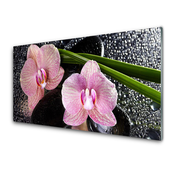Panel Szklany Kwiaty Orchidea Storczyk Zen