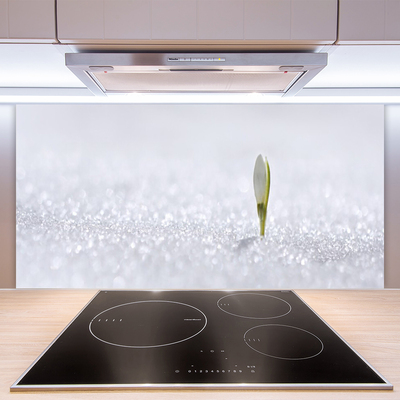 Panel Szklany Pierwsze Tchnienie Wiosny: Przebiśnieg