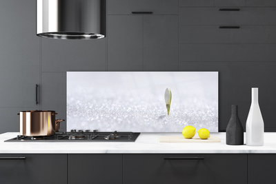 Panel Szklany Pierwsze Tchnienie Wiosny: Przebiśnieg