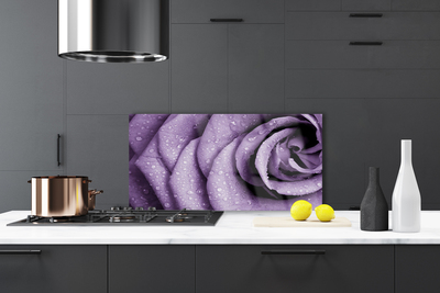 Szkło Ozdobne do Kuchni Aksamitna Róża w Rozkwicie