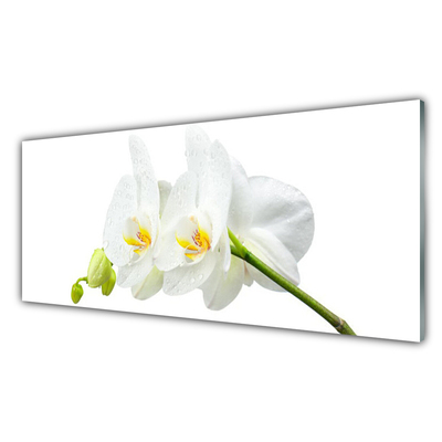 Panel Szklany Płatki Kwiat Biały Storczyk