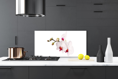 Panel Szklany Botaniczna Elegancja Storczyka