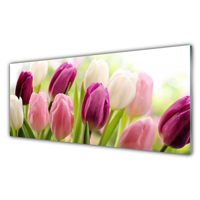 Panel Szklany Tulipany Kwiaty Natura Łąka