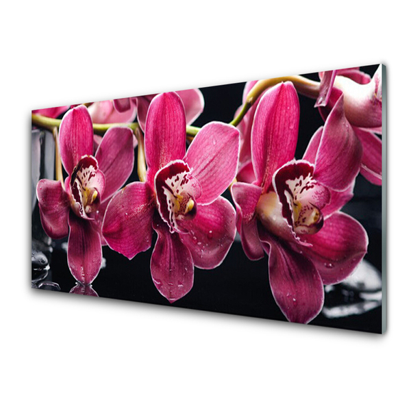 Panel Szklany Kwiaty Orchidea Pędy Natura