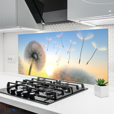 Panel Szklany Puszyste Parasolki Dmuchawca