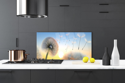 Panel Szklany Puszyste Parasolki Dmuchawca