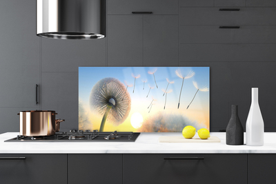 Panel Szklany Puszyste Parasolki Dmuchawca