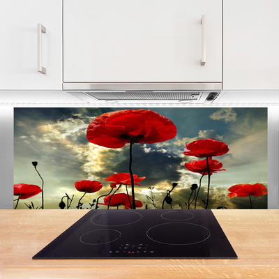 Panel Szklany do Kuchni Czerwone Maki o Poranku