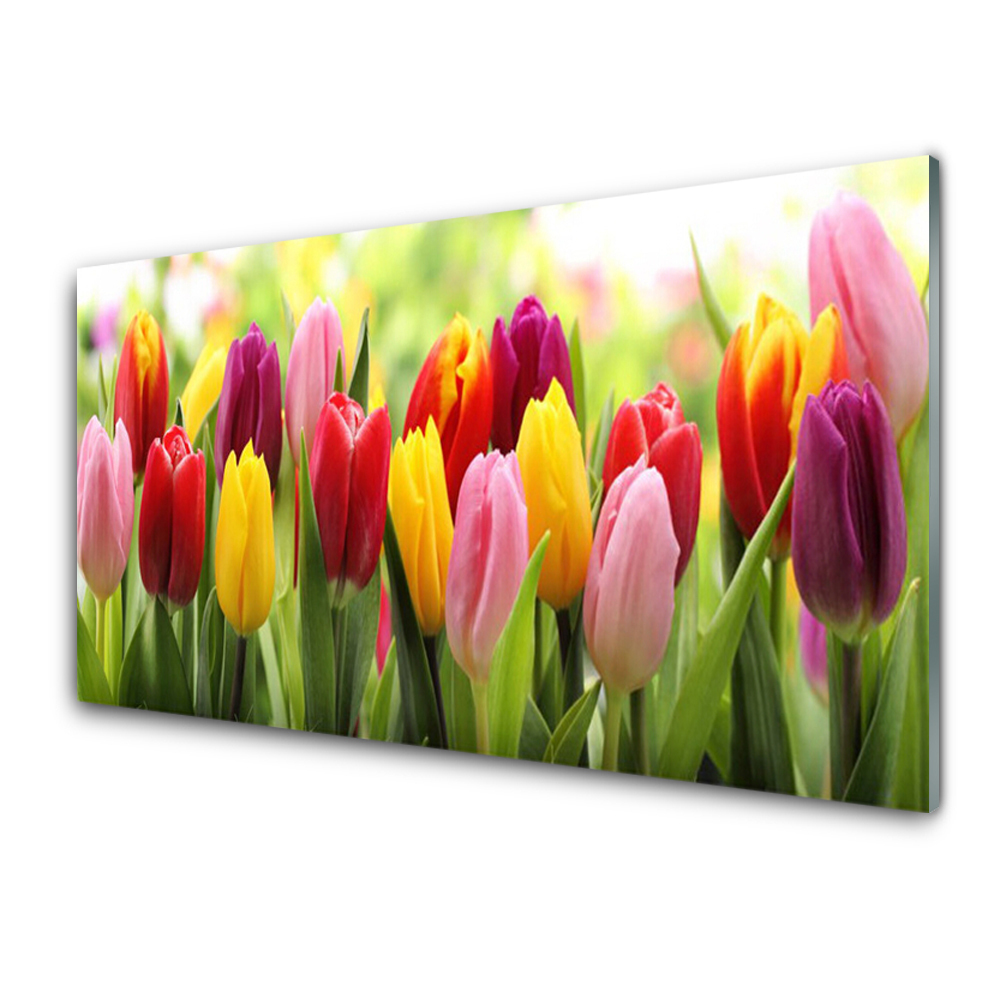 Panel Szklany Tulipany Kwiaty Natura