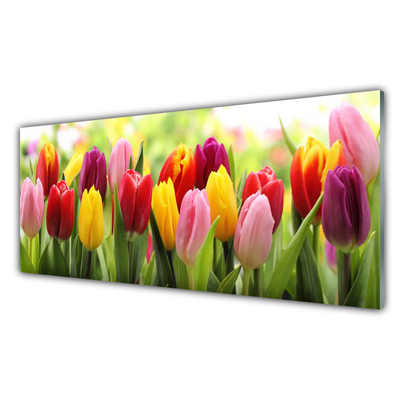 Panel Szklany Tulipany Kwiaty Natura
