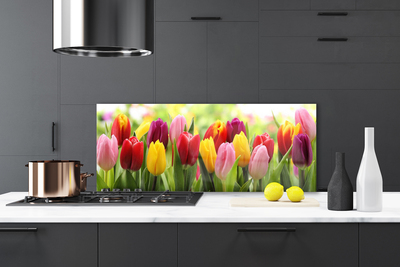 Panel Szklany Tulipany Kwiaty Natura