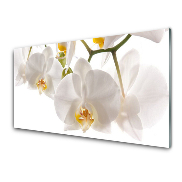 Panel Szklany Orchidea Kwiaty Natura