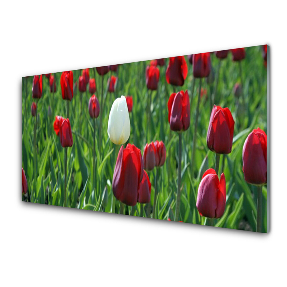 Panel Szklany Tulipany Kwiaty Natura