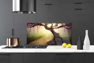 Panel Szklany Promienie Słońca w Koronie Drzewa