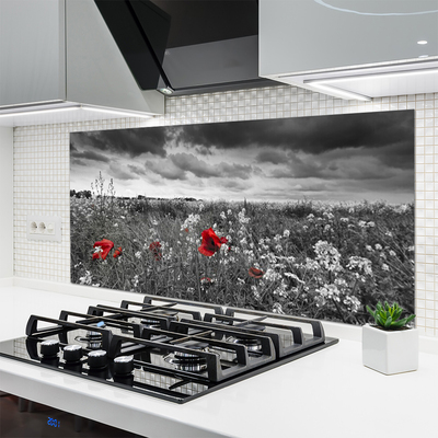 Panel Szklany Sielska Polana Kwiatowa