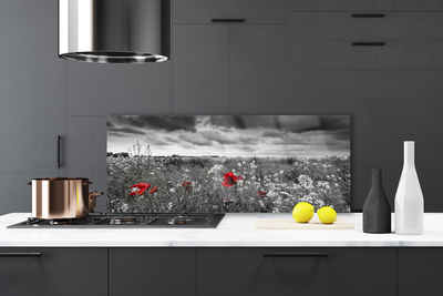 Panel Szklany Sielska Polana Kwiatowa