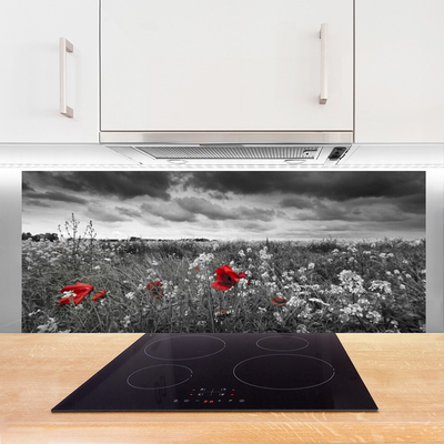 Panel Szklany Sielska Polana Kwiatowa