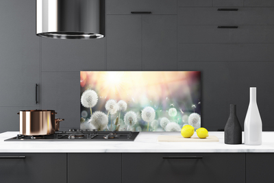 Szkło Dekoracyjne do Kuchni Lekkość Polnych Dmuchawców